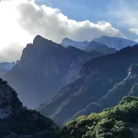 El Chalet de la Poza - Río, barbacoa, Wifi, zona de trabajo, vistas. Lebena Exterior foto